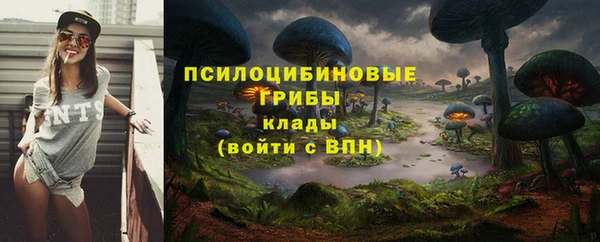 мет Абаза
