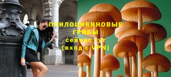 мет Абаза