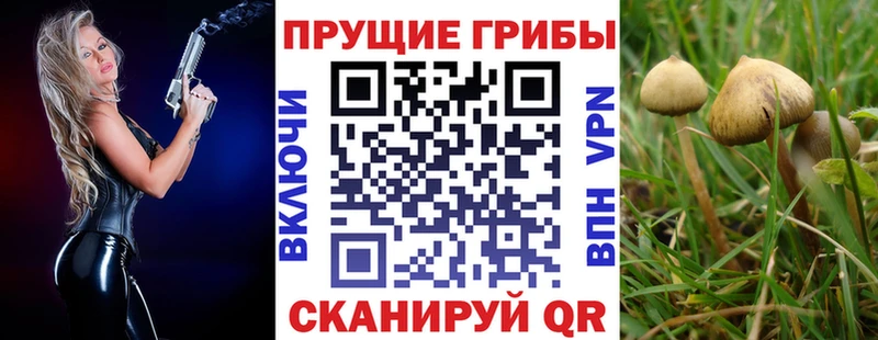 Псилоцибиновые грибы Cubensis  наркошоп  Кирс 